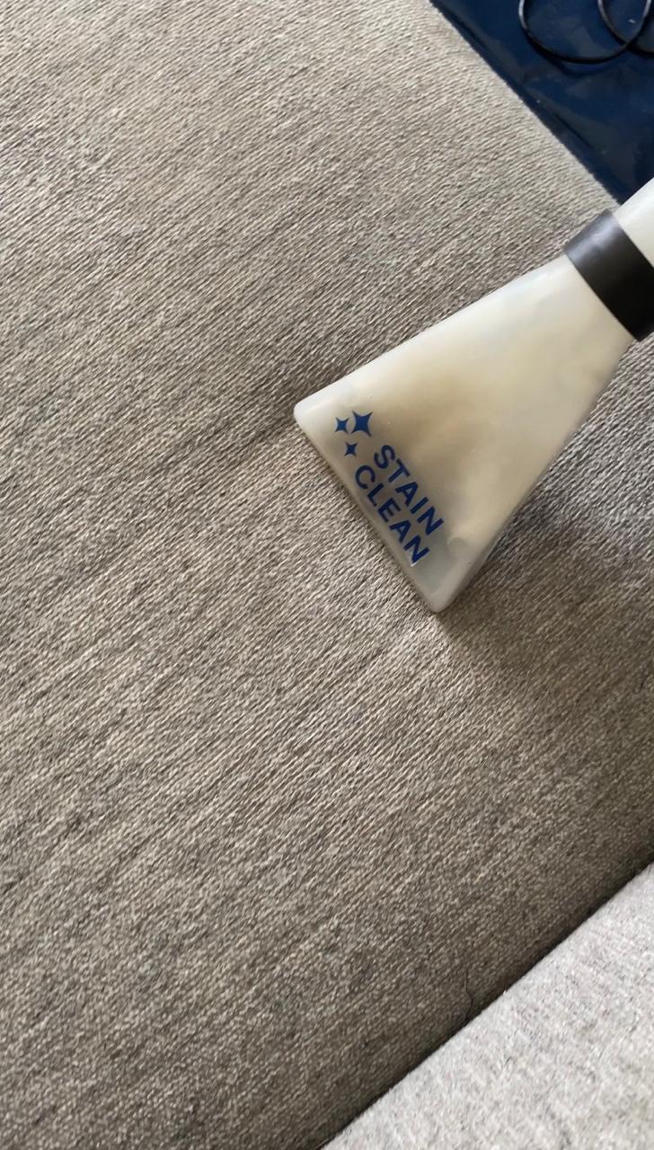 Extração técnica em estofado realizada pela Stain Clean